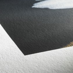 Hahnemühle Photo Rag Bright White - 310g/m2