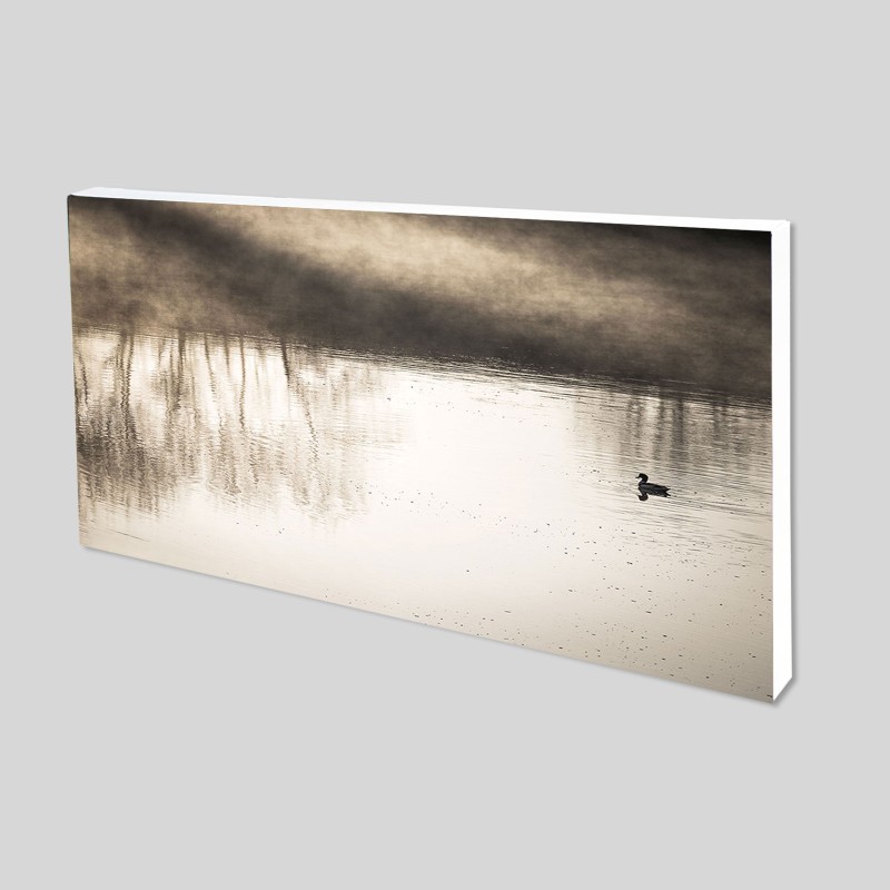 Toile Epson Canvas Matte Water Resistant - 375g/m²