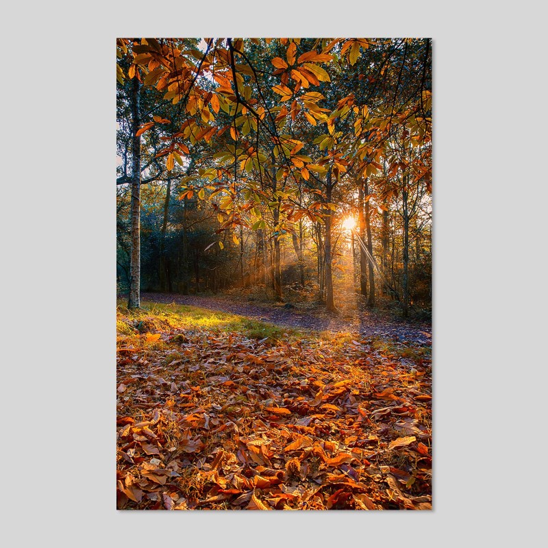 Contrecollage Canson Photo Satin 270g/m²