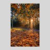 Contrecollage Canson Photo Satin 270g/m²