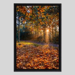Caisse américaine bois sur papier Canson PhotoSatin - 270g/m²