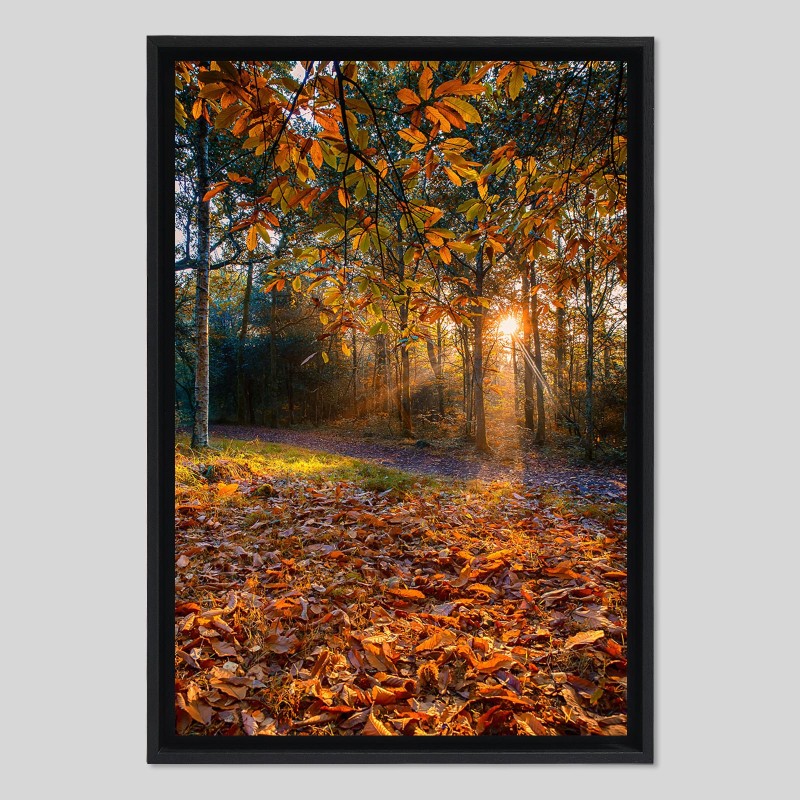 Caisse américaine bois sur papier Canson PhotoSatin - 270g/m²