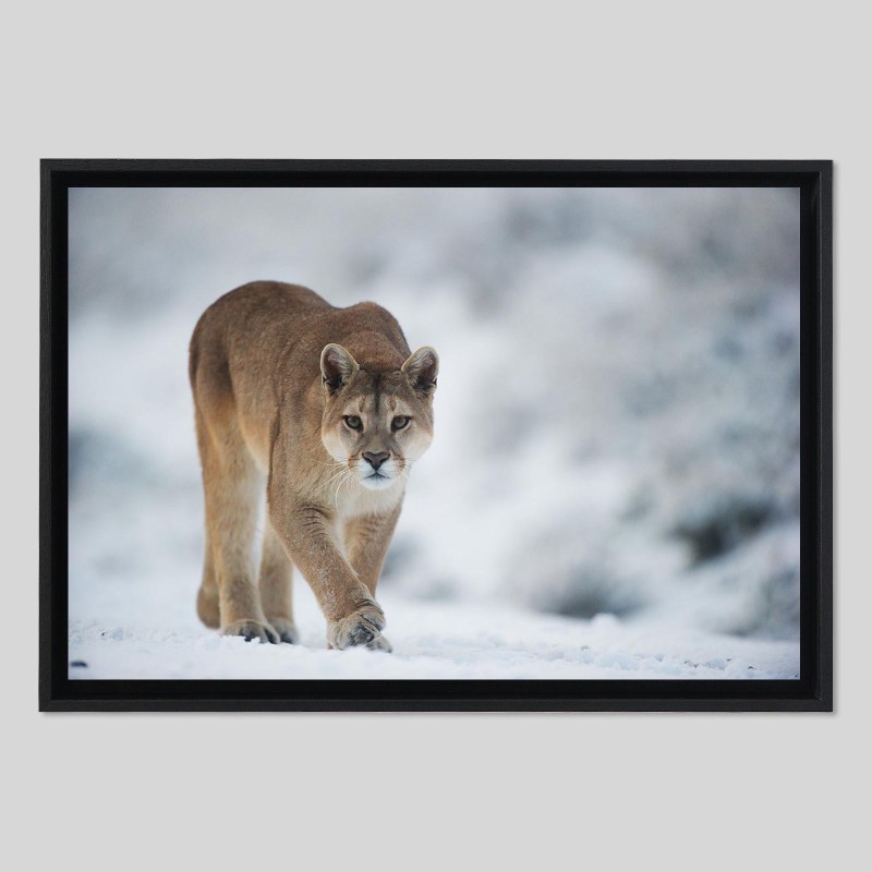 Caisse américaine bois sur papier Hahnemühle Photo Rag - 308g/m²