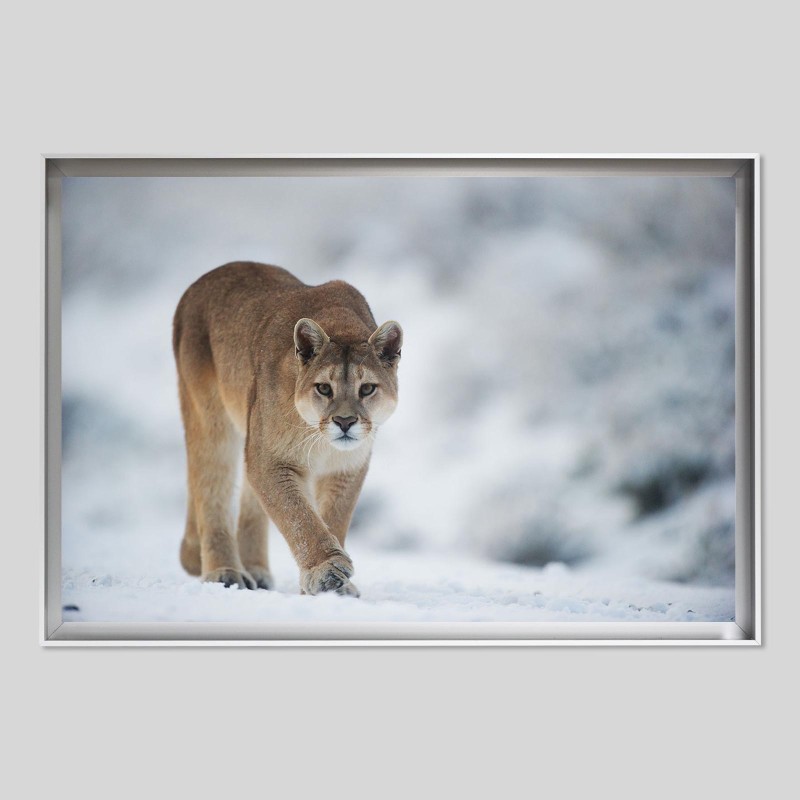 Caisse américaine prestige aluminium sur papier Hahnemühle Photo Rag - 308g/m²