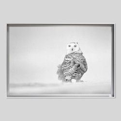 Caisse américaine prestige aluminium sur papier Hahnemühle William Turner 310g/m²
