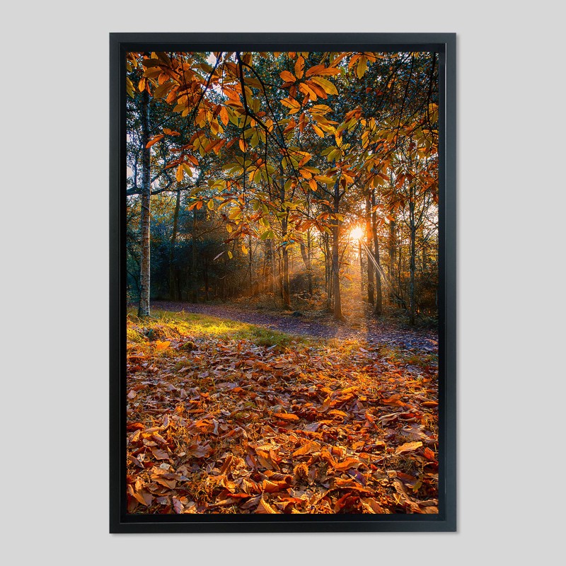 Caisse américaine prestige bois laqué sur papier Canson PhotoSatin - 270g/m²