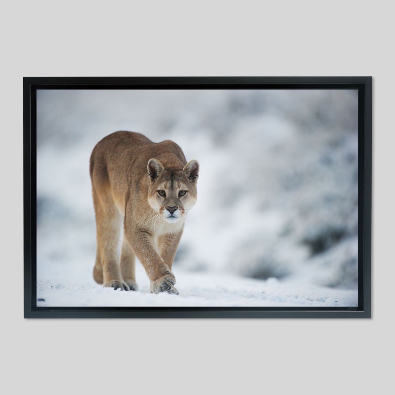 Caisse américaine prestige bois laqué sur papier Hahnemühle Photo Rag - 308g/m²