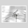 Hahnemülhe Photo Silk Baryta - 310g/m²