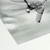 Hahnemülhe Photo Silk Baryta - 310g/m²