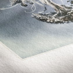 Hahnemühle Museum Etching - 350g/m²