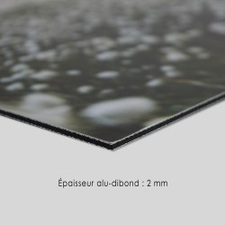 Contrecollage sur papier Canson Baryta Prestige - 340g/m²