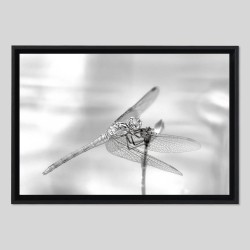 Caisse américaine bois sur papier Hahnemülhe Photo Silk Baryta - 310g/m²