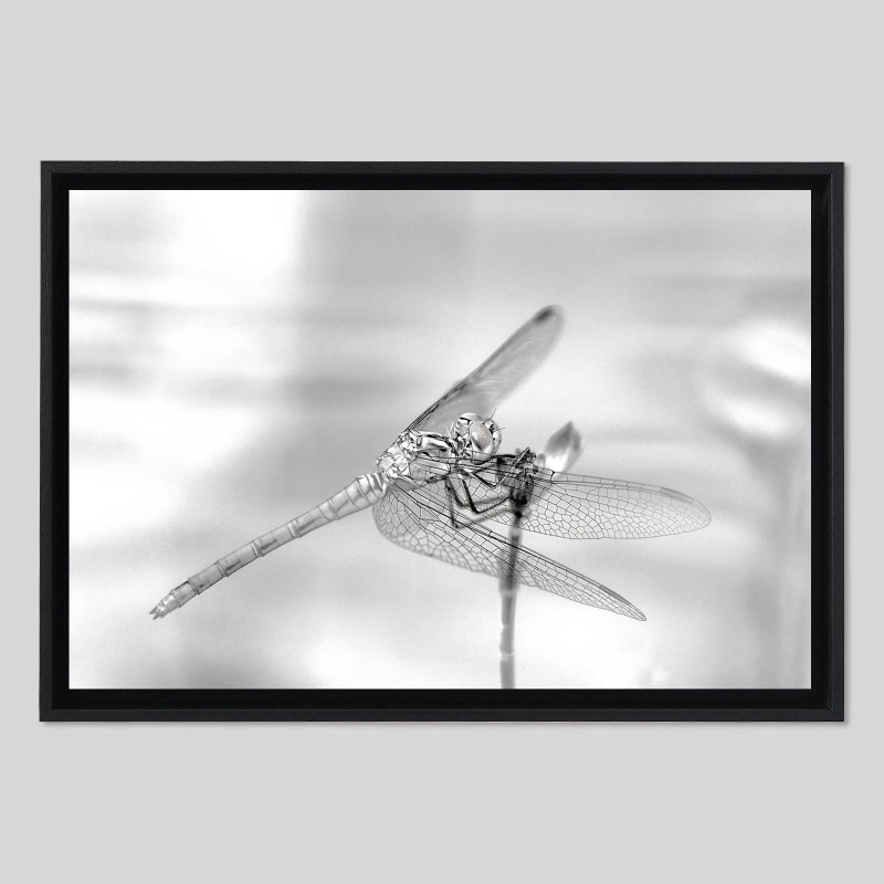 Caisse américaine bois sur papier Hahnemülhe Photo Silk Baryta - 310g/m²