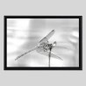Caisse américaine bois sur papier Hahnemülhe Photo Silk Baryta - 310g/m²