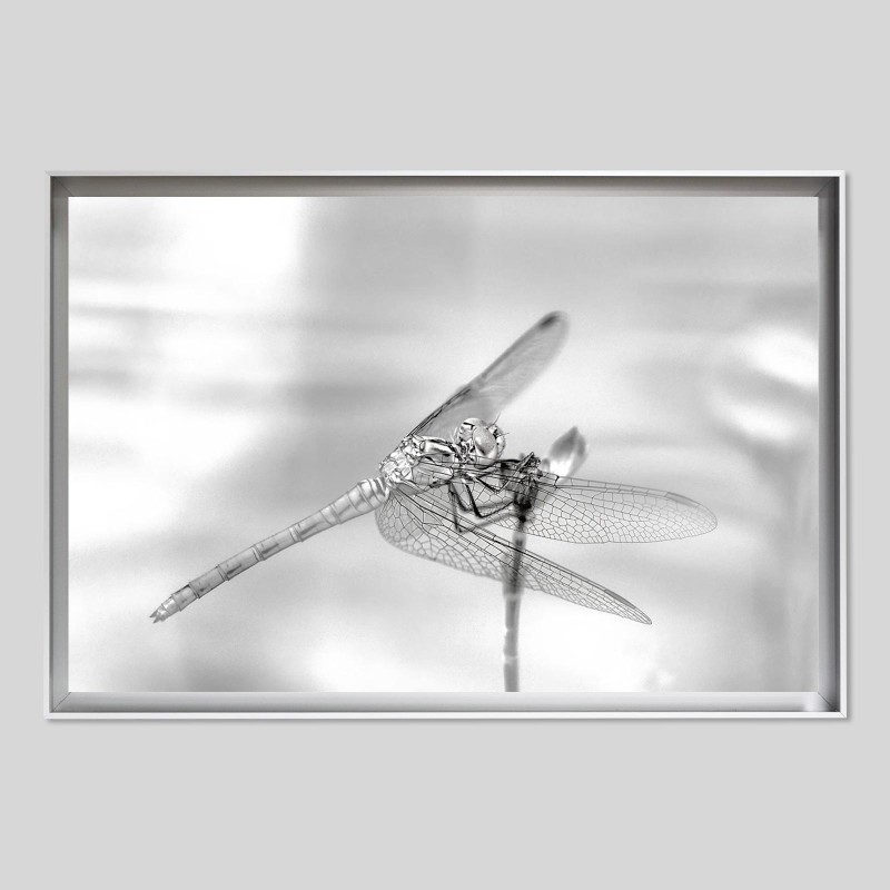 Caisse américaine prestige aluminium sur papier Hahnemülhe Photo Silk Baryta - 310g/m²