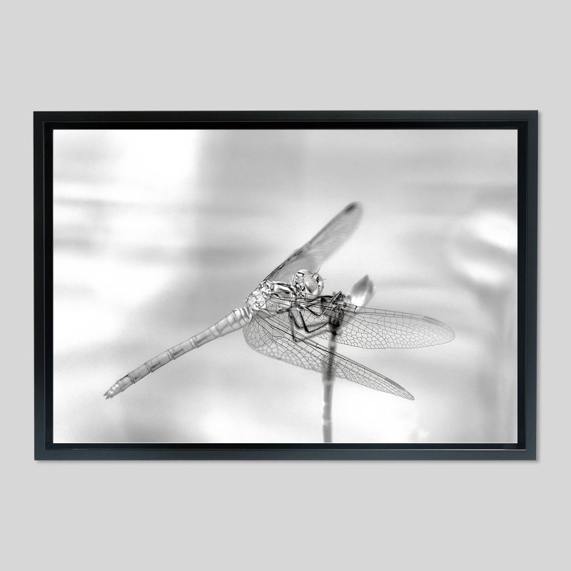 Caisse américaine prestige bois laqué sur papier Hahnemülhe Photo Silk Baryta - 310g/m²