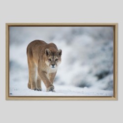 Caisse américaine prestige bois chêne sur papier Hahnemühle Photo Rag - 308g/m²