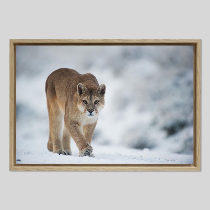 Caisse américaine prestige bois chêne sur papier Hahnemühle Photo Rag - 308g/m²