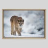 Caisse américaine prestige bois chêne sur papier Hahnemühle Photo Rag - 308g/m²