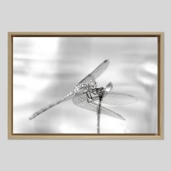 Caisse américaine prestige bois chêne sur papier Hahnemülhe Photo Silk Baryta - 310g/m²