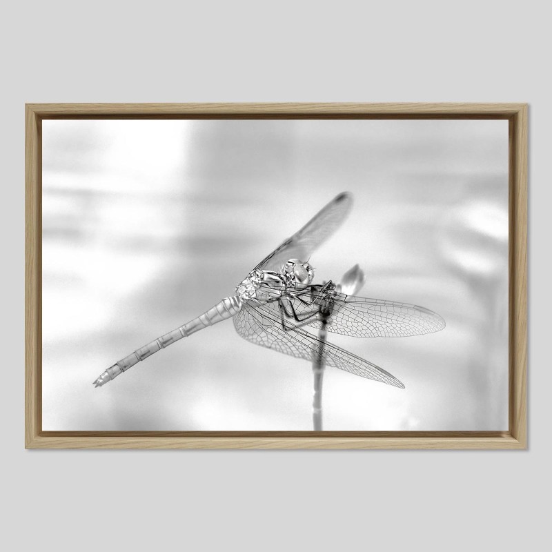 Caisse américaine prestige bois chêne sur papier Hahnemülhe Photo Silk Baryta - 310g/m²