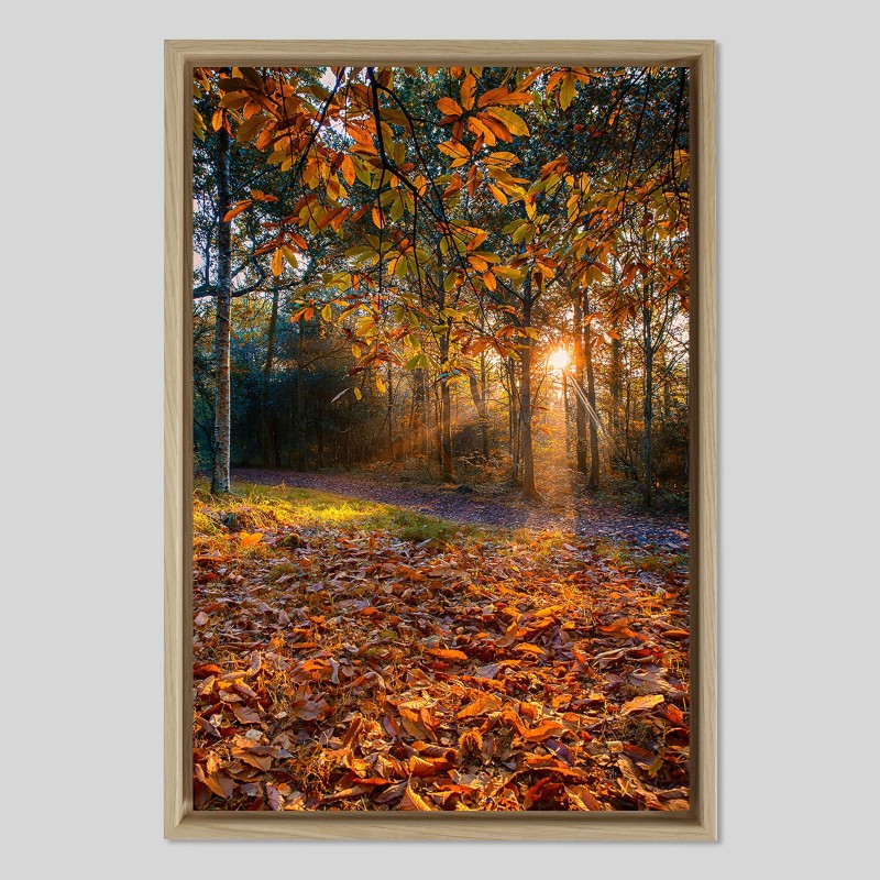 Caisse américaine prestige bois chêne sur papier Canson PhotoSatin - 270g/m²