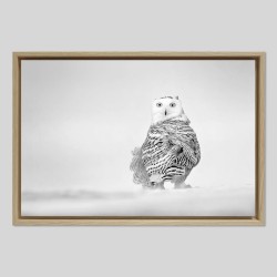 Caisse américaine prestige bois chêne sur papier Hahnemühle William Turner 310g/m²