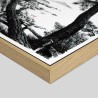 Caisse américaine prestige bois chêne sur papier Hahnemühle Photo Rag Métallique 340g/m²