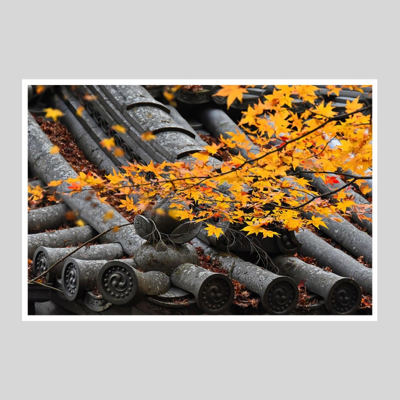 Hahnemülhe Chanvre 290g