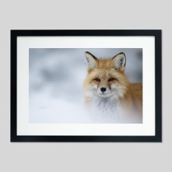 Cadre classique sur papier Hahnemühle Photo Matt Fibre - 200g/m²