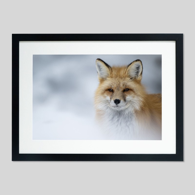 Cadre classique sur papier Hahnemühle Photo Matt Fibre - 200g/m²