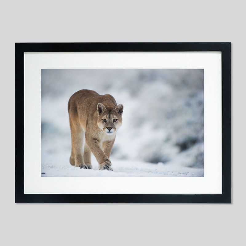 Cadre classique sur papier Hahnemühle Photo Rag - 308g/m²