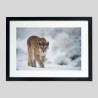 Cadre classique sur papier Hahnemühle Photo Rag - 308g/m²