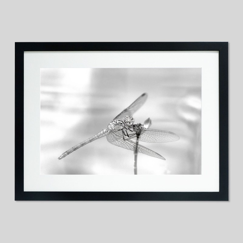 Cadre classique sur papier Hahnemülhe Photo Silk Baryta - 310g/m²