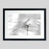 Cadre classique sur papier Hahnemülhe Photo Silk Baryta - 310g/m²