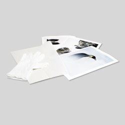 Hahnemülhe Chanvre 290g